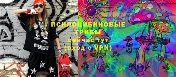 бошки Аркадак