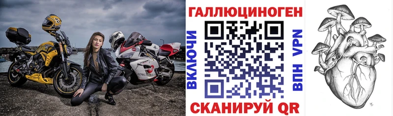 что такое   Новый Уренгой  Галлюциногенные грибы Psilocybe 