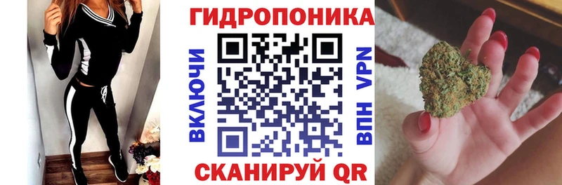 дарнет шоп  Новый Уренгой  МЕГА   Конопля OG Kush 